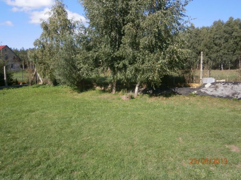 Pole kempigowe Taszewko