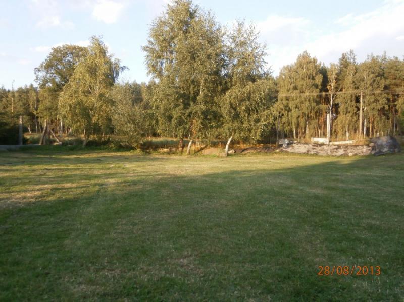Pole kempigowe Taszewko