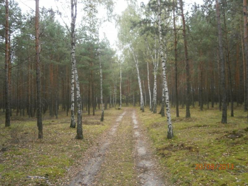Pole kempigowe Taszewko