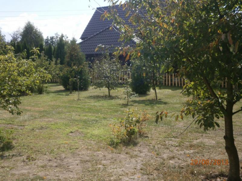 Pole kempigowe Taszewko