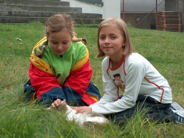 Zgromadzenie Braci Szk Chrzecijaskich