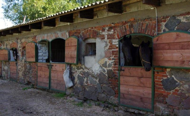 Gospodarstwo agroturystyczne Stajnia Bogusawice