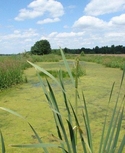 Gospodarstwo agroturystyczne Stajnia Bogusawice