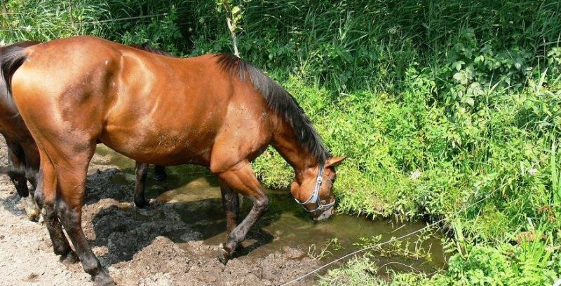 Gospodarstwo agroturystyczne Zbigniew Wonicki