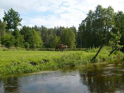 Gospodarstwo Agroturystyczne Grka