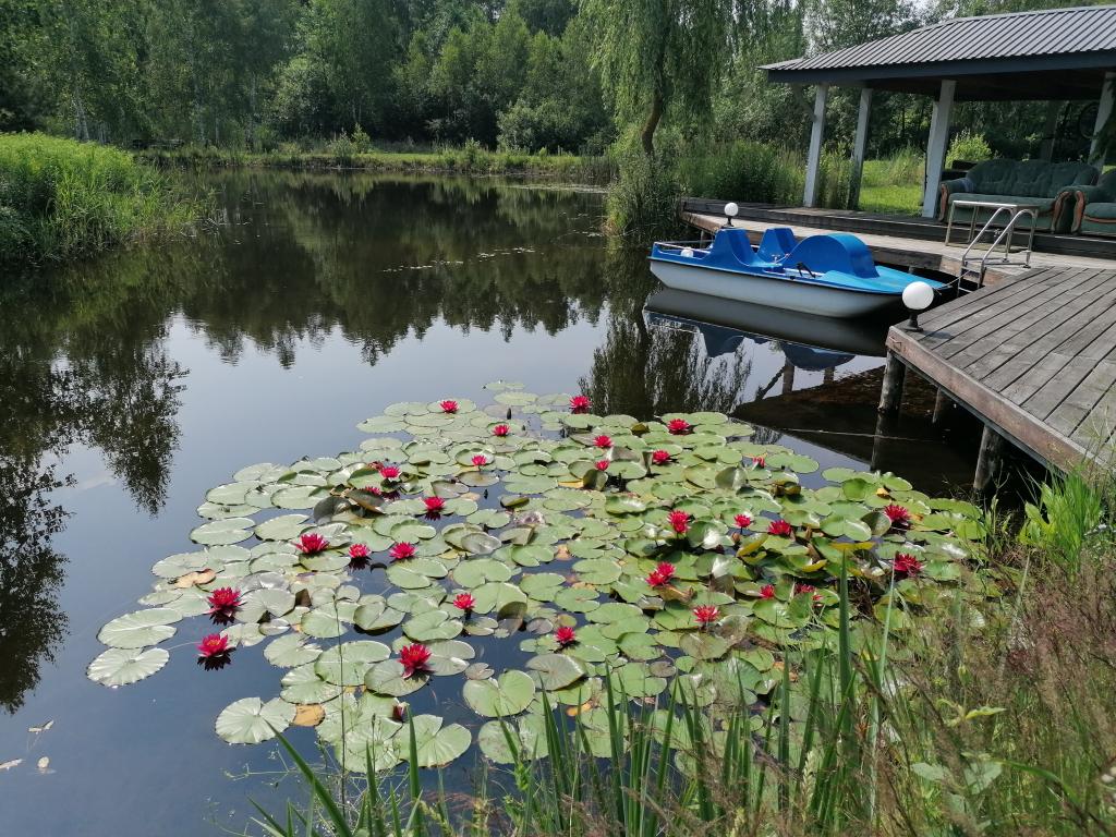 Aleksandria