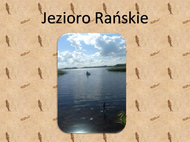Mazury Rask Dom do wynajcia
