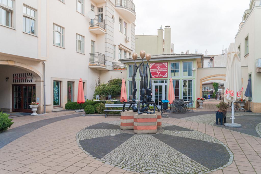 Aleksander apartament PREMIUM Sopot Monte Cassino z garaem