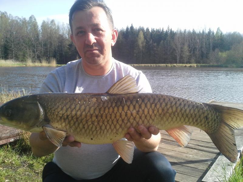 Warmiska Cisza