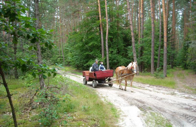 Agroturystyka w Guciowie