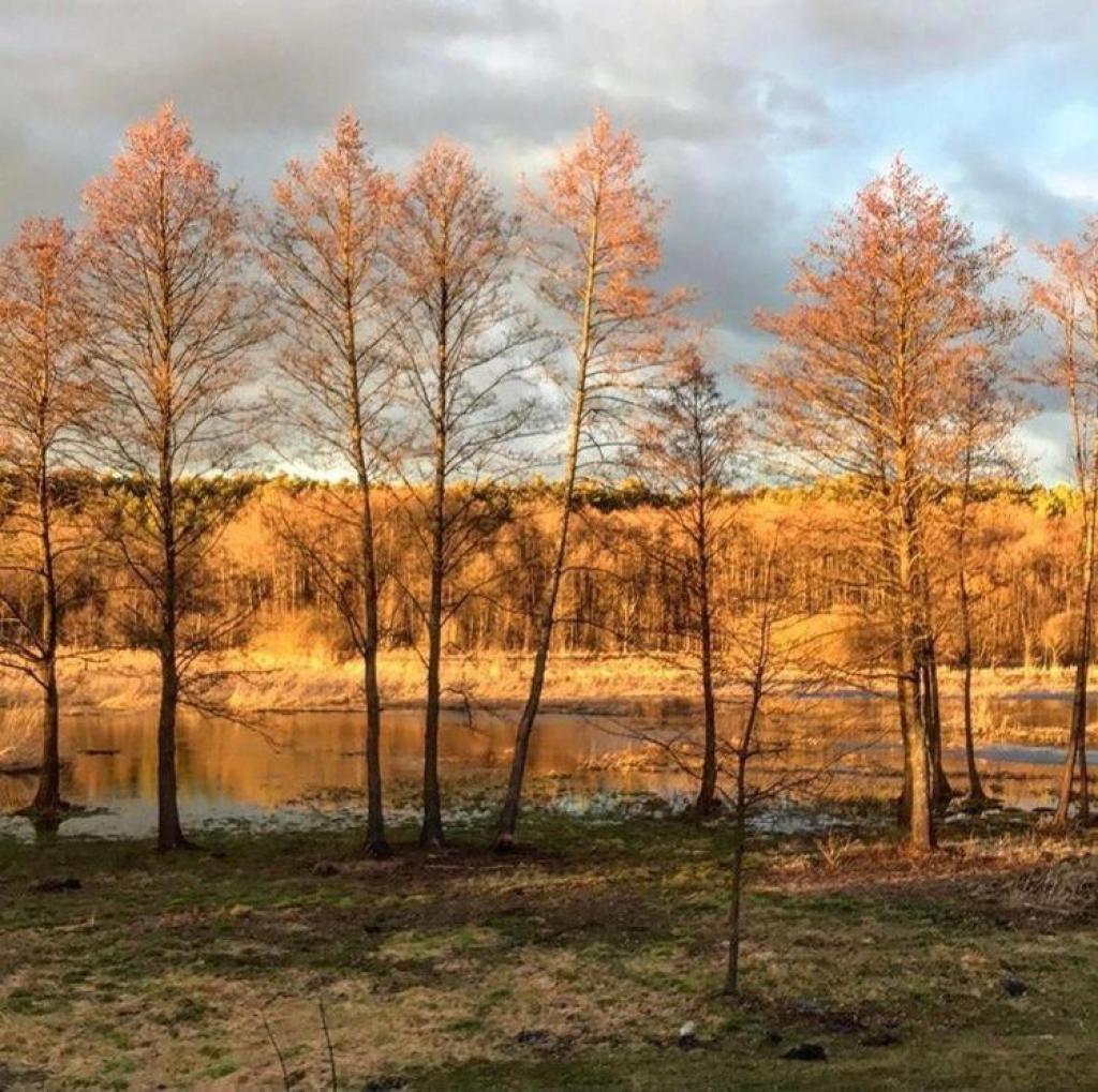 Siedlisko Barycz Kolonia