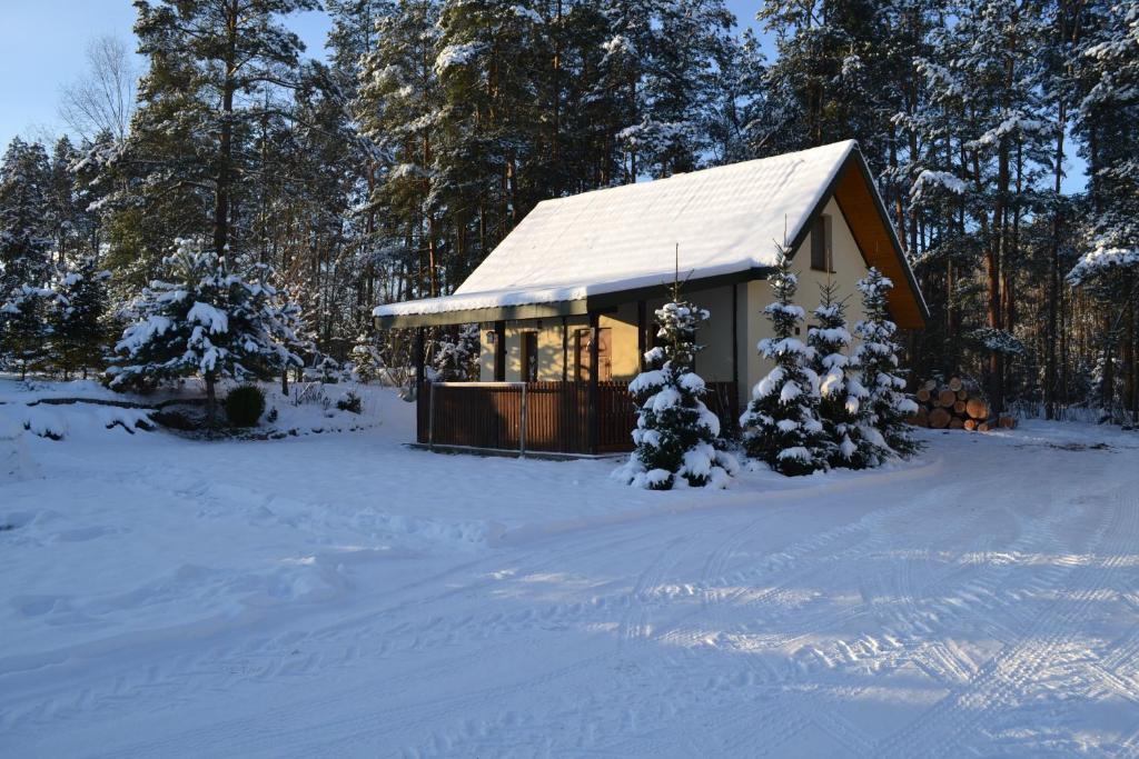 Domek w Sajenku