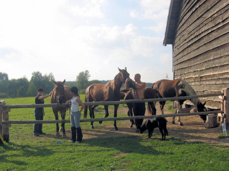 Gospodarstwo Agroturystyczne Jutrzenka