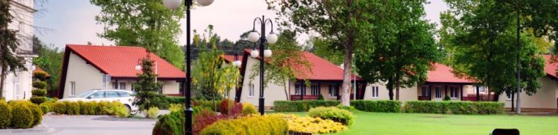 Hotel Wityng