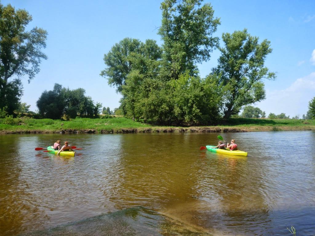 Agroturystyka -Stajnia Dorado-Puszcza Kampinoska