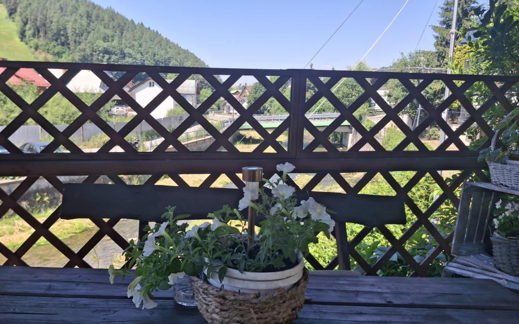 Szczawnica- Pokoje u Lucy  - Lucyny