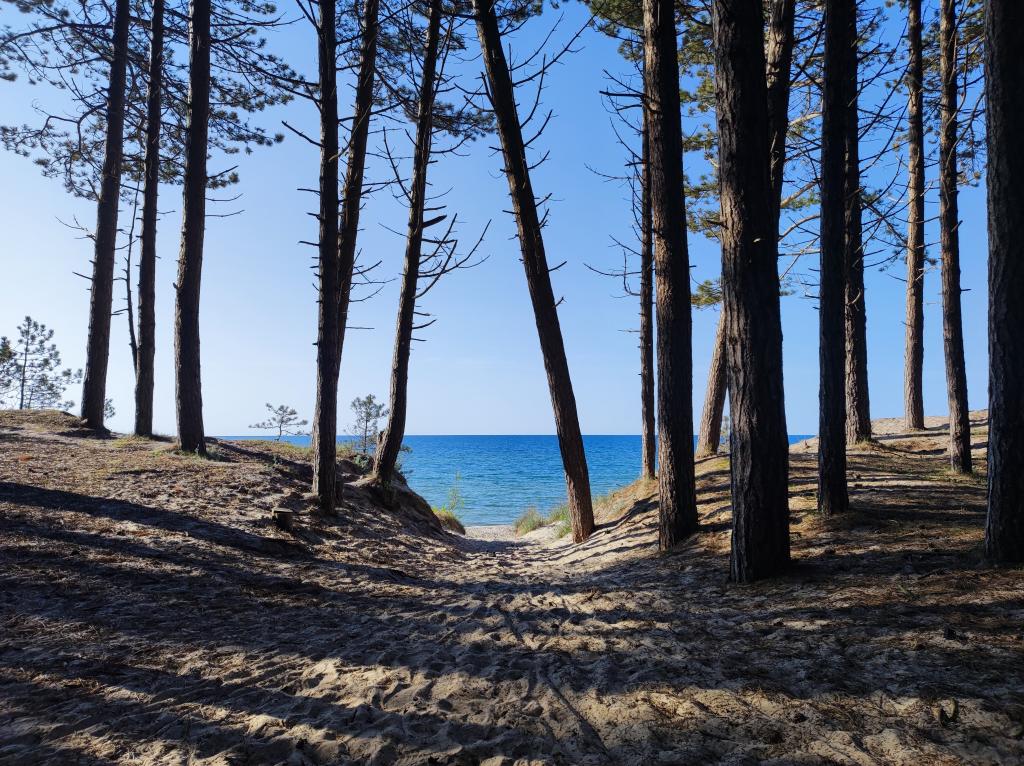 Apartamenty La Ola Mielno