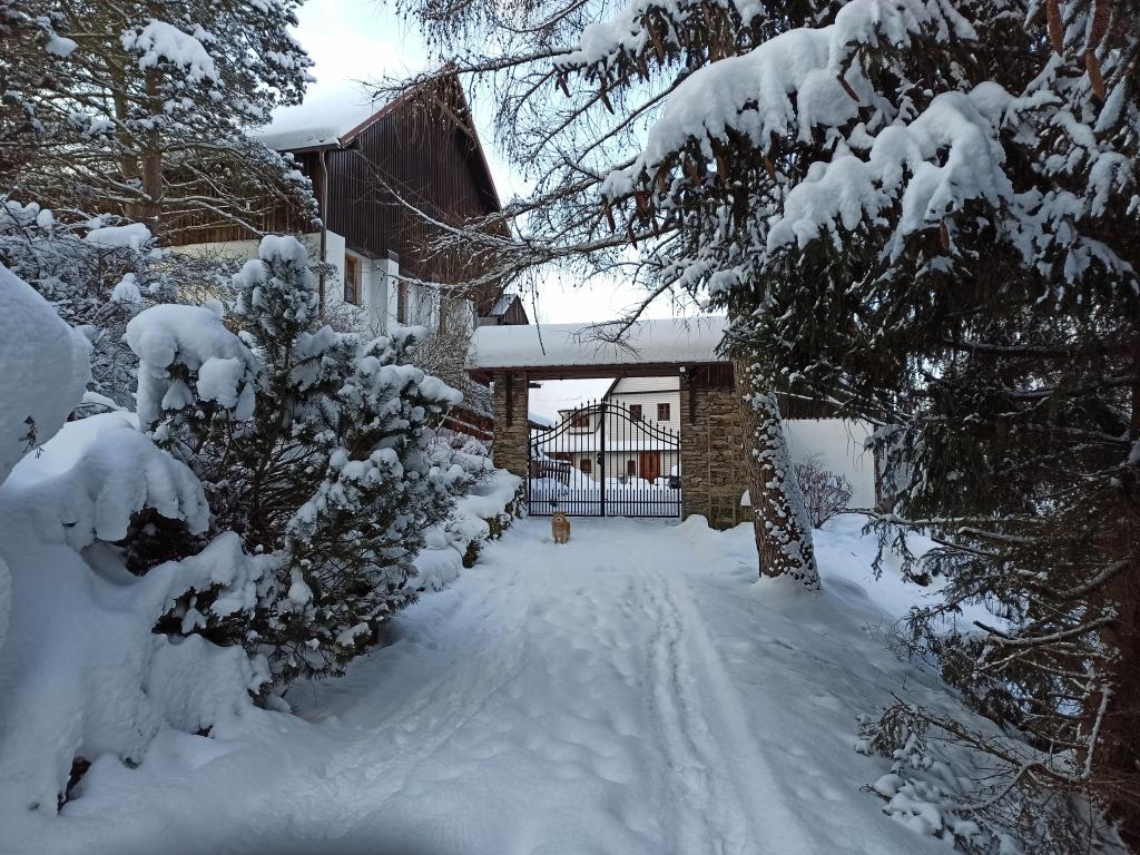 Agroturystyka  Pod Bukiem