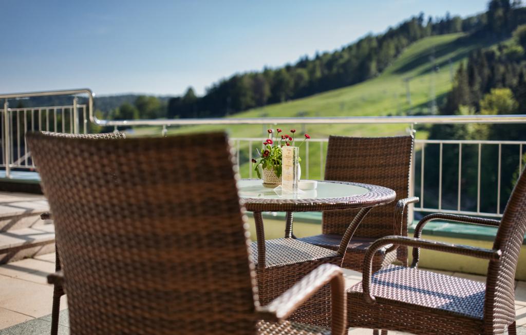 Hotel Pegaz ****