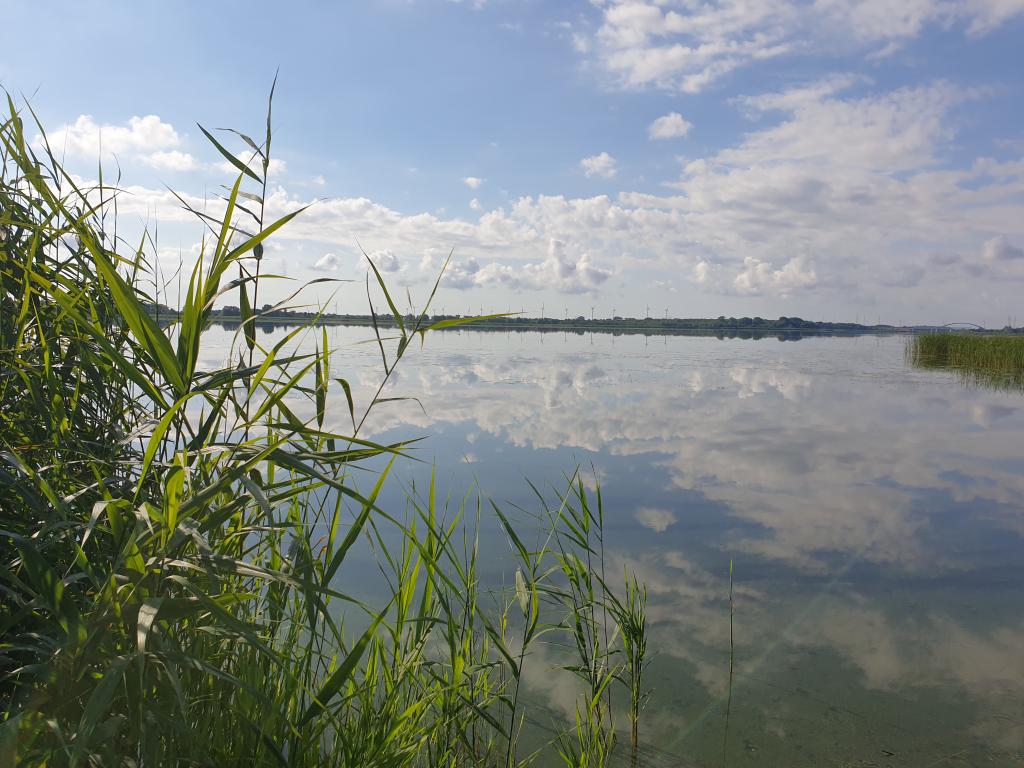 Agroturystyka B. J. Radomscy