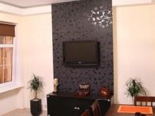 Apartament Starwka