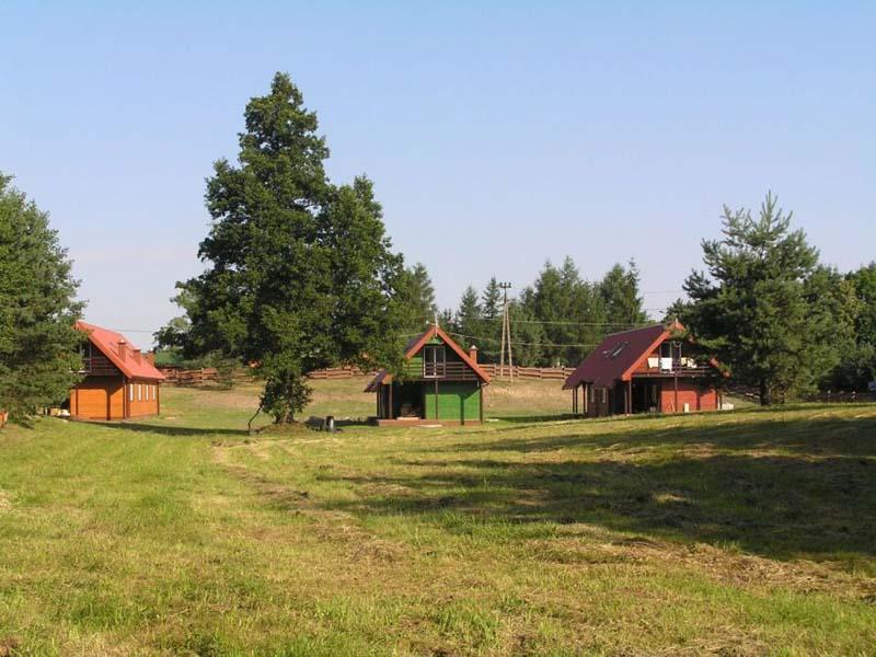 Orodek Dar Lasu