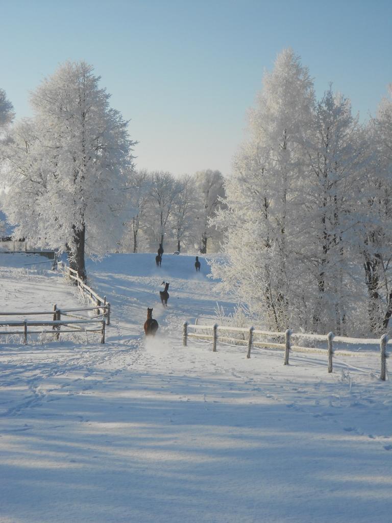 Siedlisko Bitkowo