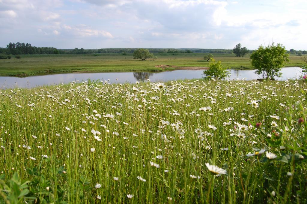 Agroturystyka Nad Wart