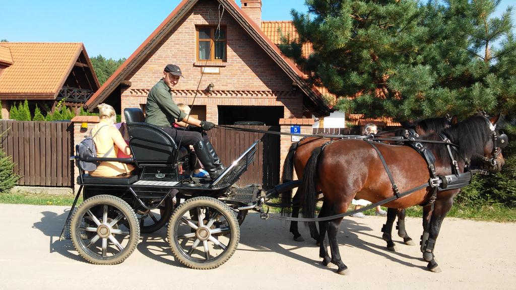 Domek Warmia