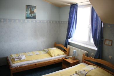 Gociniec Gniecki
