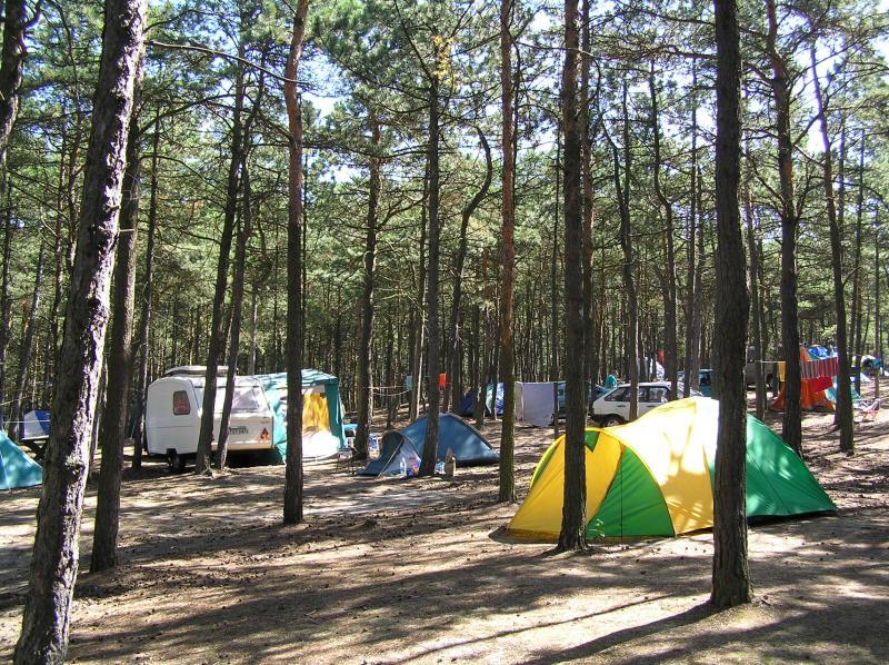 Camping Stogi nr 218