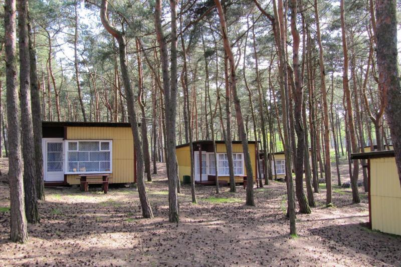 Camping Stogi nr 218