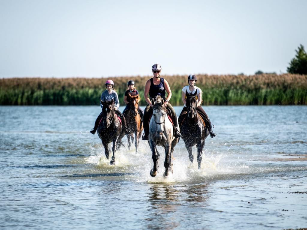 Kadyny Folwark Hotel & Spa