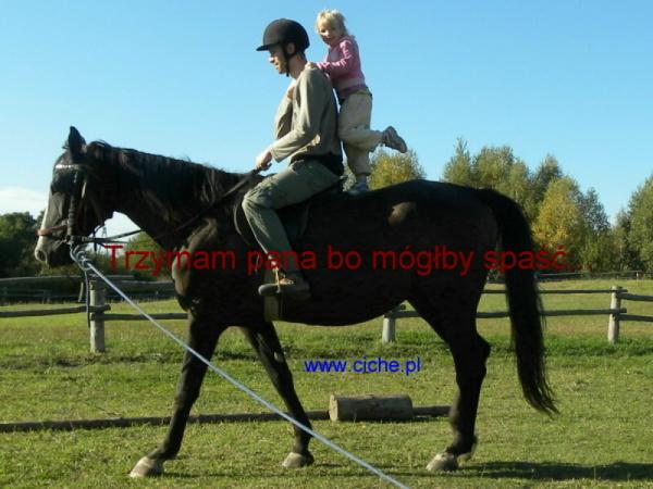 Agroturystyczne Gospodarstwo Ekologiczne, Serowarskie i mini ZOO www.Ciche.pl