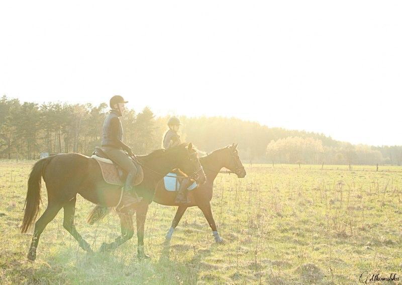 Agroturystyka Kolonia Mazurska Mierki